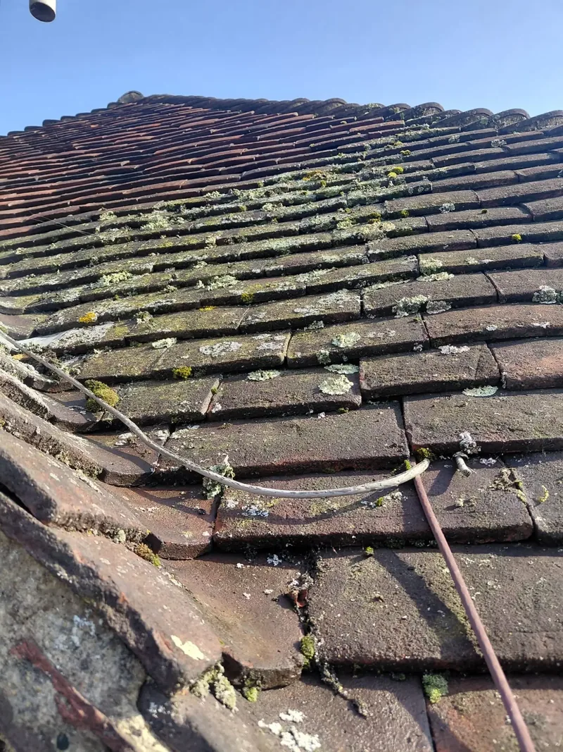 Clay roof tiles covered in moss and lichen before cleaning